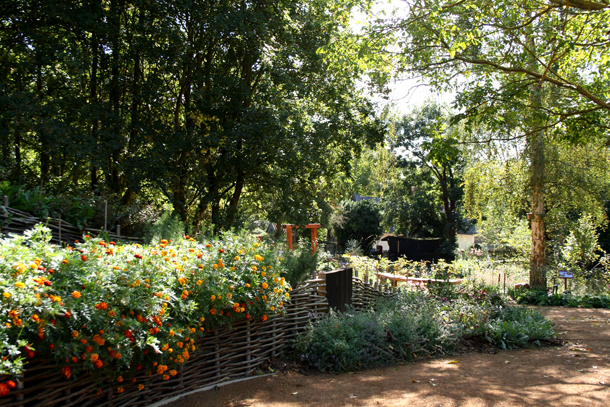 teaching garden to welcome space